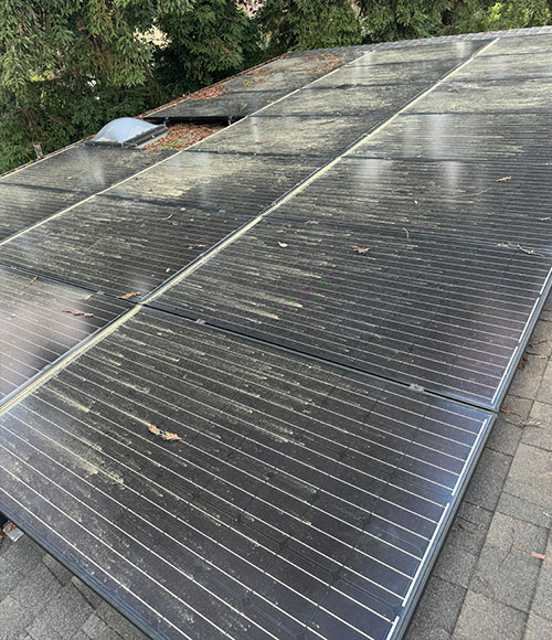 solar panels on roof